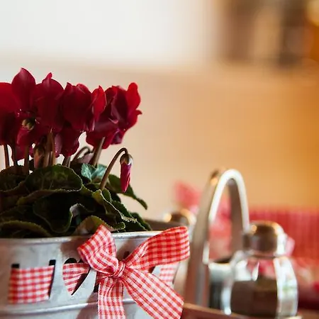 Hotel Maximilian 3*